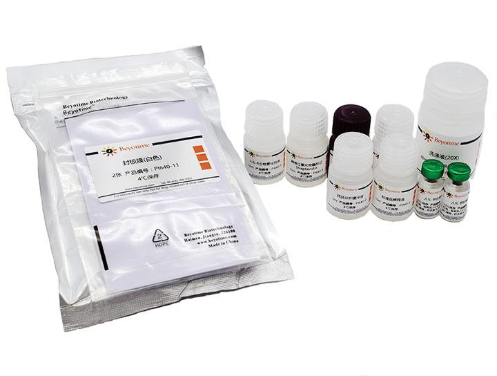 Human IL-8 ELISA Kit